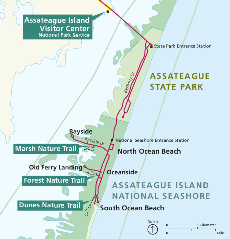 Assateague Island Maps Just Free Maps Period 