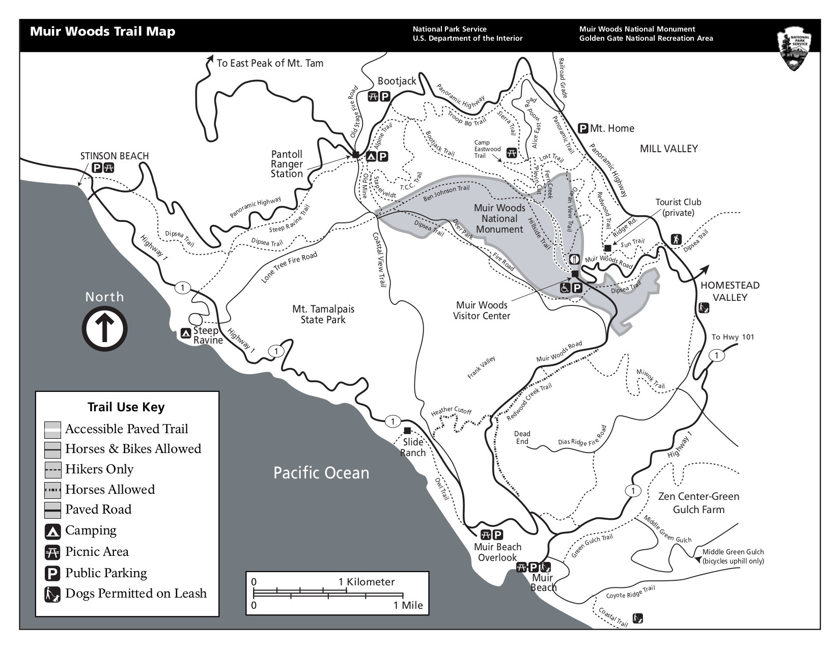 Muir Woods National Monument How to Visit and What Trails to