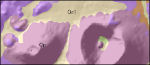 Wupatki geologic map west