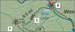 Congaree trail guide