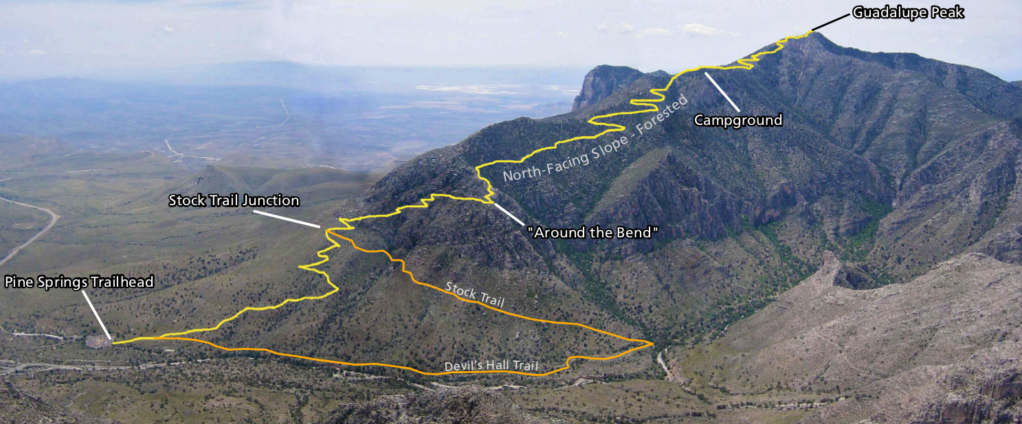 Image result for guadalupe peak trail map