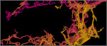 Lechuguilla Cave map