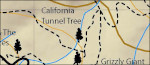 Mariposa Grove winter map
