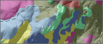 Mica Mountain vegetation map