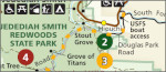 Redwood National Park guide