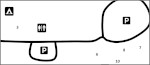 Spring Creek Campground map